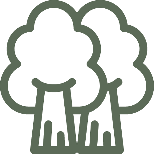 tips-collage-Asset 12