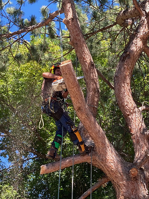 02C96B0C-1519-4677-8AC5-1705D755CEA6