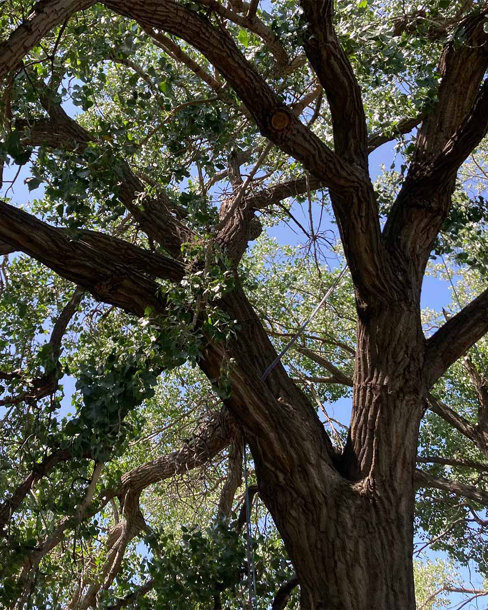 71027621339__460CF2FA-810C-45DB-947F-884C2D219317