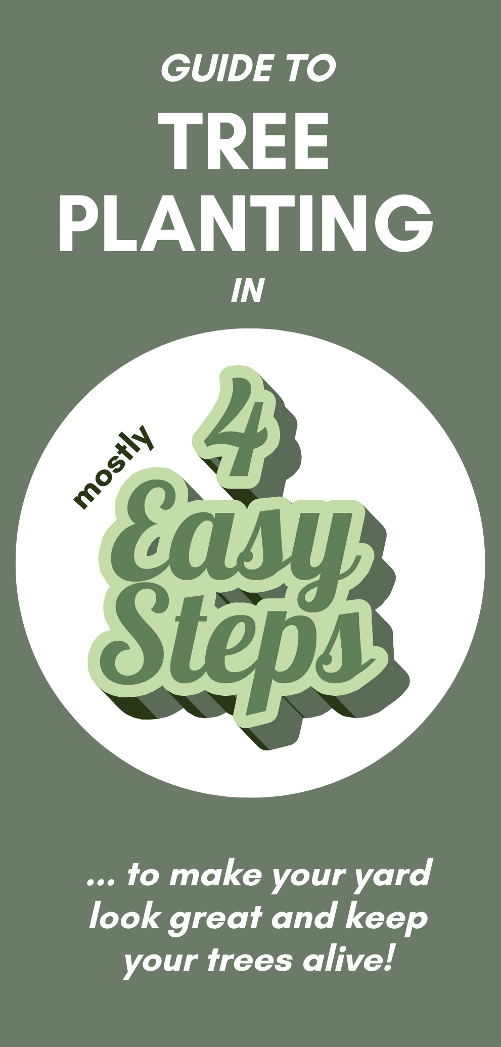 Guide To Tree Planting in 4 Mostly Easy Steps